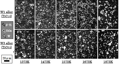SEM images of microstructure of W1 and W3 alloy sintered at the range of 1373 to 1873K