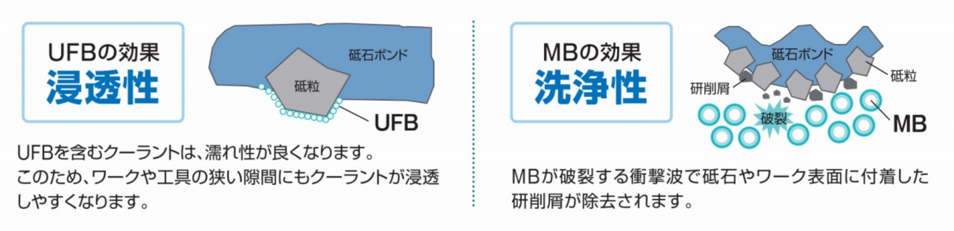 UFB�̌��ʁ@�u�Z�����v�u��򐫁v