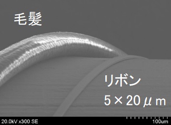 �^���O�X�e�����{��