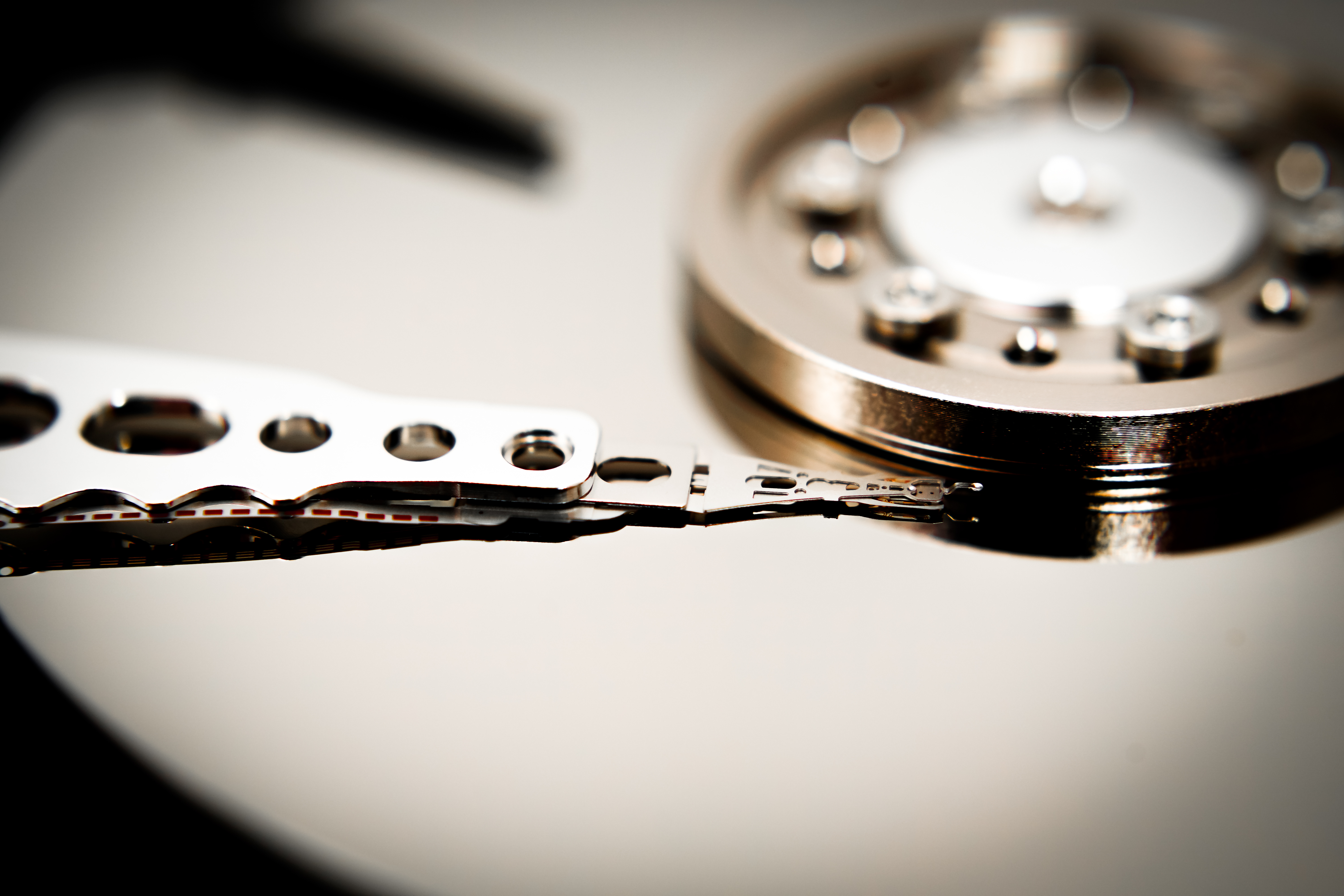 ���C�w�b�h�p���