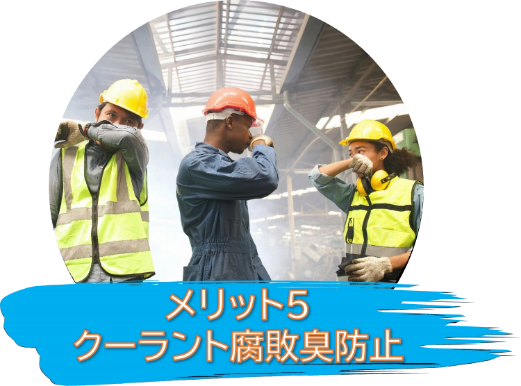 �����b�g5�@�N�[�����g���s�L�h�~