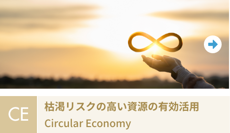 �����̒��i�͊����X�N�̍��������̗L�����p�j