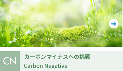 �����̒��i�J�[�{���}�C�i�X�ւ̒���j