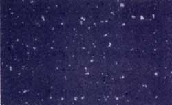 �ʐ^1SNPN-3�̑g�D�ʐ^�i�~1,000�j