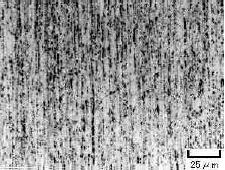 �ʐ^�Q�@�A���~�i���U���̒f�ʑg�D ���o�ނȂ̂�Cu���E���c���̃t�@�C�o�[�󍕓_��Al2O3�����U���Ă���