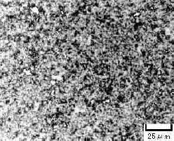 �ʐ^�V�@60Ag-40WC(HS01)�̒f�ʑg�DW�b���̃X�P���g����Ag��n�Z��������