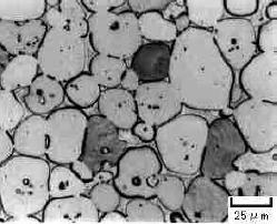 �ʐ^�W�@94W-Ni-2Cu(HAC2)�̒f�ʑg�DW����Ni-Cu�ɂ���Ċ������Č���������