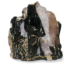 ���^�����i���@���|�[�g